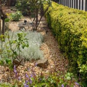 Highfield Guest House 