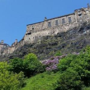 the Wee thistle Edinburgh
