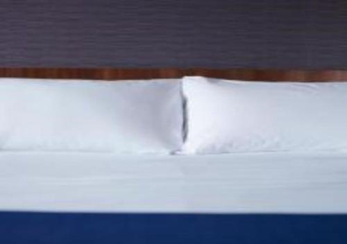 Holiday Inn Express Edinburgh City Centre - image 3
