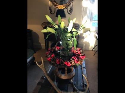 Martins Guest House - image 19