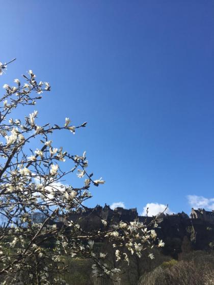 Edinburgh37 - image 19