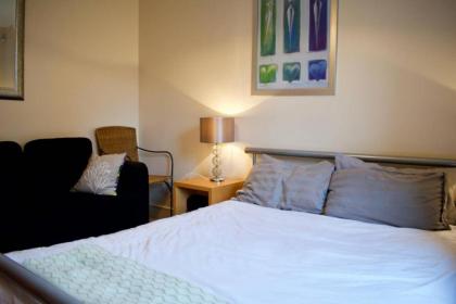 Bright and Spacious Apartment Near City Centre - image 20