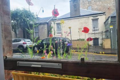 Portobello Charming Seaside 3-BR Holiday Apartment - image 28
