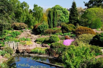 Stylish Victorian Apartment close to the Botanical gardens Free parking! - image 26